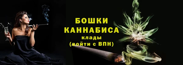 твердый Горно-Алтайск