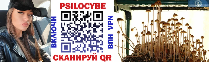 Купить где  Лабинск  Галлюциногенные грибы MAGIC MUSHROOMS 